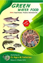 Green Water Food ( 6 KG )