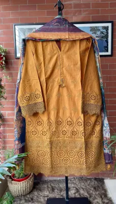 Pakistani Sadabahar Chichenkari Stitched 3Pcs _ Mustard