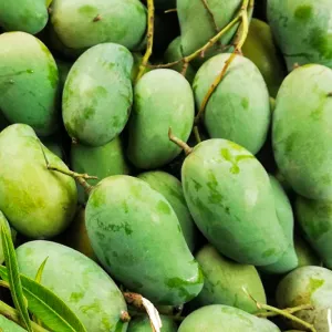 আম্রপালি ১০ কেজি (প্যাকেজিং এবং ডেলিভারিসহ)