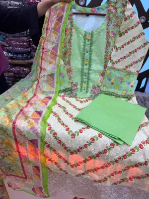 Pakistani Inspired Item 1.17