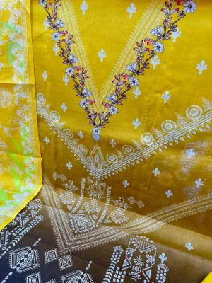 Pakistani Charizma  Item 4