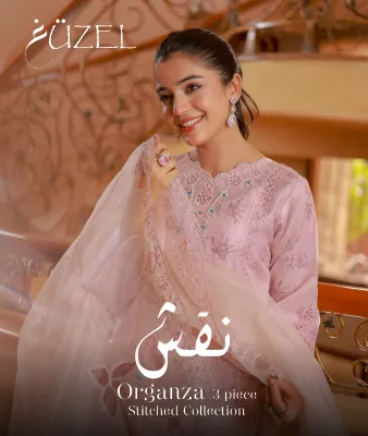 Guzel نقش Organza Stitched 3 Piece Collection_1472