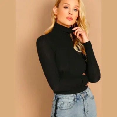SHEIN Ribbed Turtle Neck Long Sleeve Top (M)