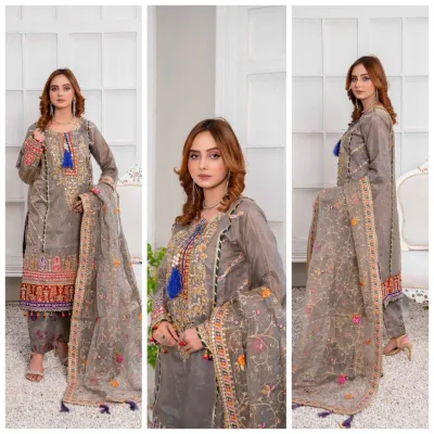 Pakistani Original Hayat's Luxury Organza Stitched 3Pcs _ Gray 