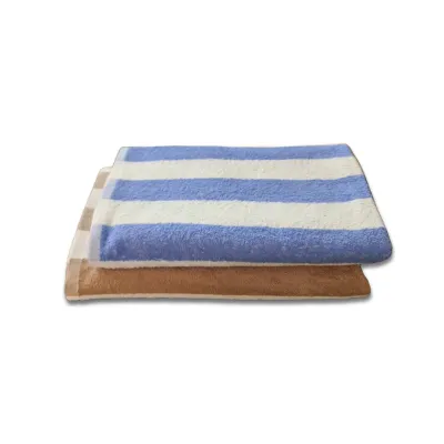 PREMIUM BATH TOWEL 2PCS