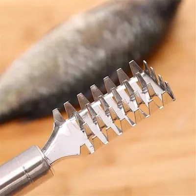 Stainless Steel Fish Scale Cleaner 