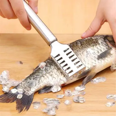 Stainless Steel Fish Scale Cleaner 