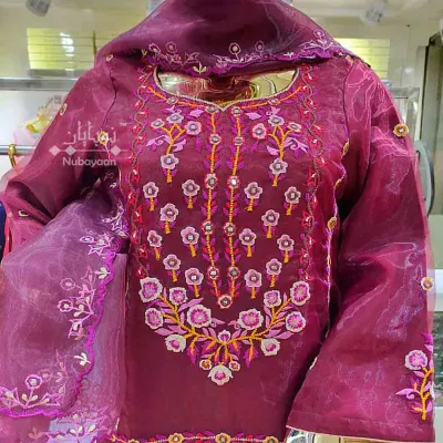 Sangria Embroidered organza silk shalwar kameez