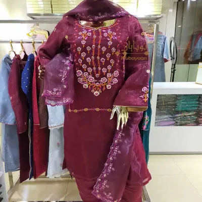 Sangria Embroidered organza silk shalwar kameez