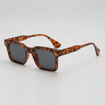 Small Frame Sunglasses