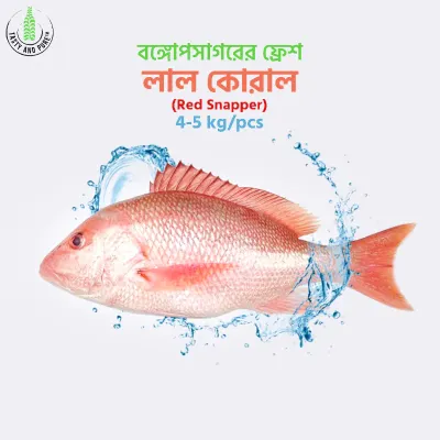 বঙ্গপোসাগরের লাল কোরাল মাছ(Red Snapper) 4-5 kg/pcs