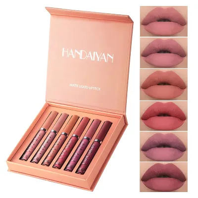 HANDAIYAN Matte Liquid Lipstick Makeup Set (B)