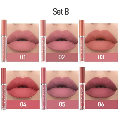 HANDAIYAN Matte Liquid Lipstick Makeup Set (B)