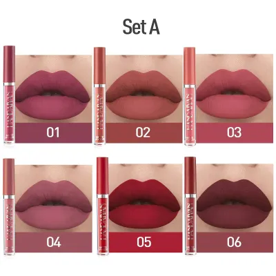 HANDAIYAN Matte Liquid Lipstick Makeup Set (A)