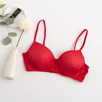 SILK UNDERWEAR SILK BRA THIN