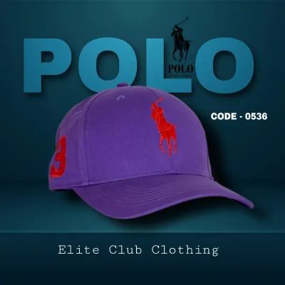 Men's U S P O LO Cap (S-1)-Vista Purple	