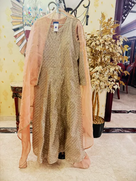 Beige Coloured Gown