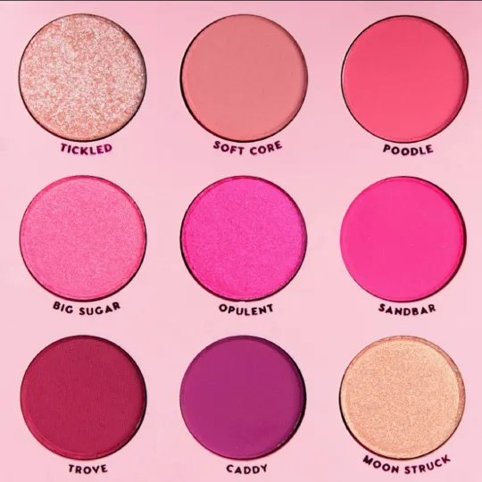 Colourpop Ooh La La Eyeshadow Palette – 9-Pan Pink & Purple Tones 